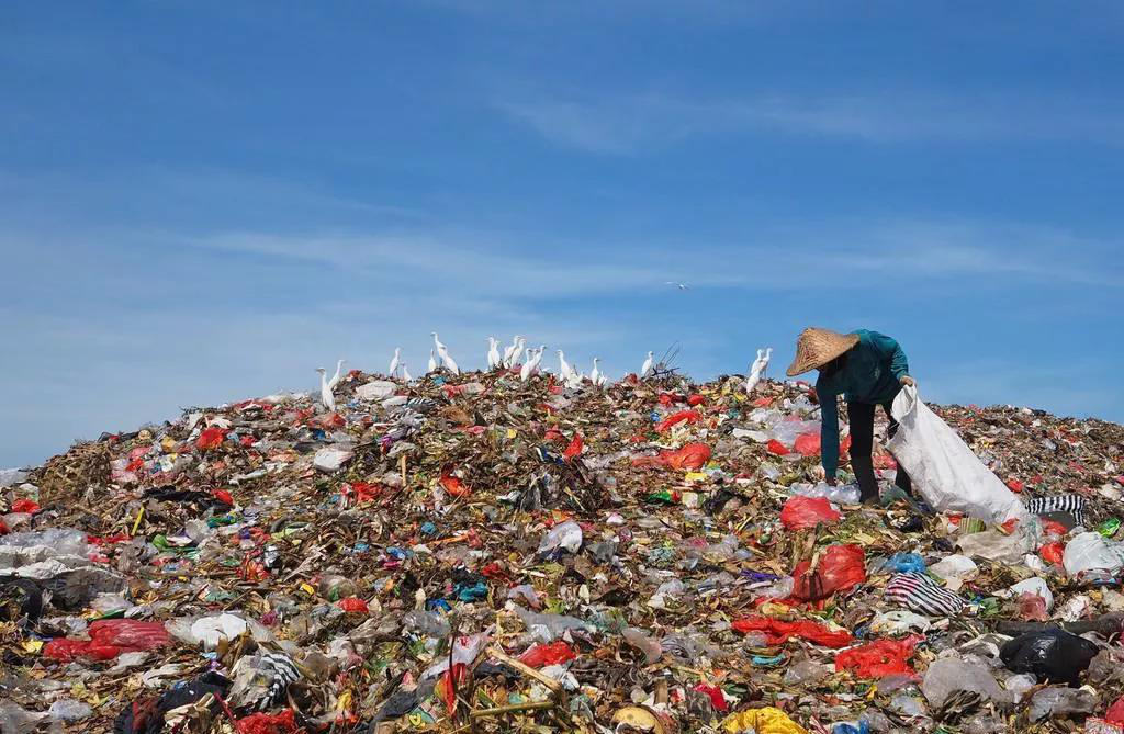 垃圾分类 地球的自我拯救之路\n\n内容 \n题目 #Earth Has a Trash Problem
